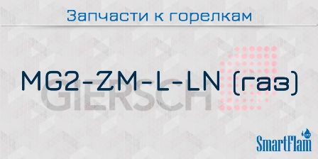 Запчасти к газовым горелкам Giersch серии MG2-ZM-L-LN.