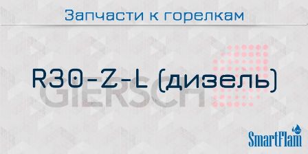 Запчасти к жидкотопливным горелкам Giersch серии R30-Z-L