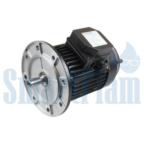65325406 Электродвигатель Ecoflam 31/3038-54 IE2 3 65325406 Электродвигатель Ecoflam 31/3038-54 IE2