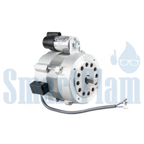 65326742 Электродвигатель Ecoflam EBR DYD-75 F120