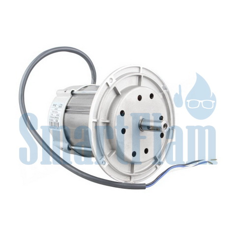 3003768 Электродвигатель Riello 605SE 0300