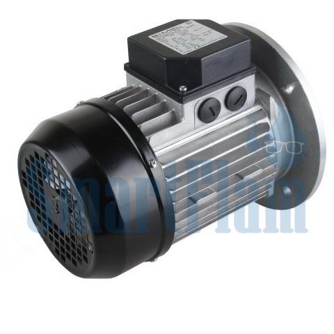 3003966 Электродвигатель Riello RS 70