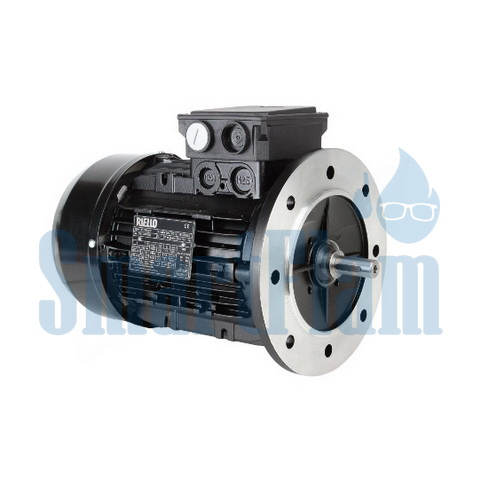 3003968 Электродвигатель Riello MS2 90L1-2 B5 IE2